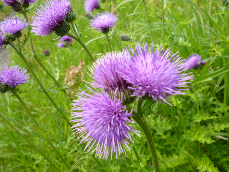 f:id:ryo326:20120511112323j:image