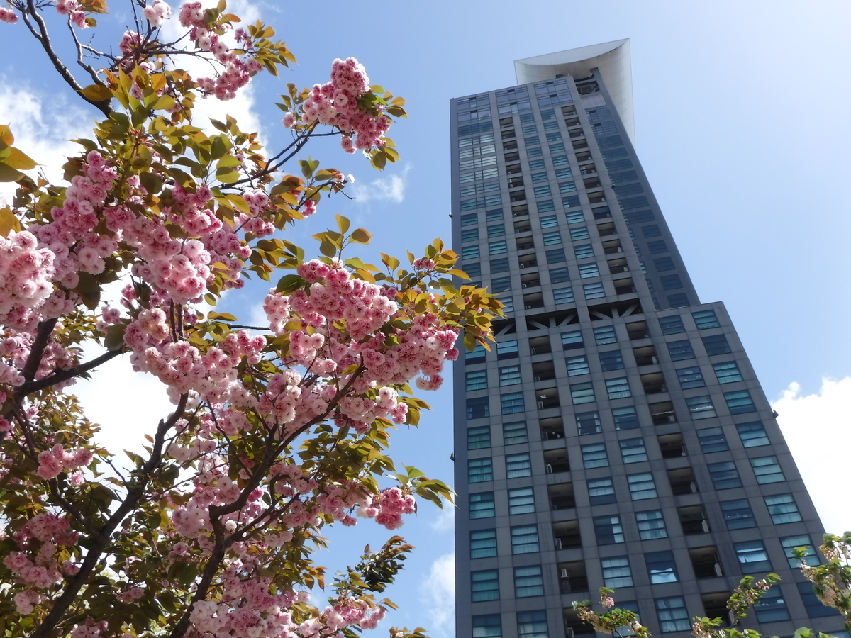 f:id:ryo326:20190515000003j:plain