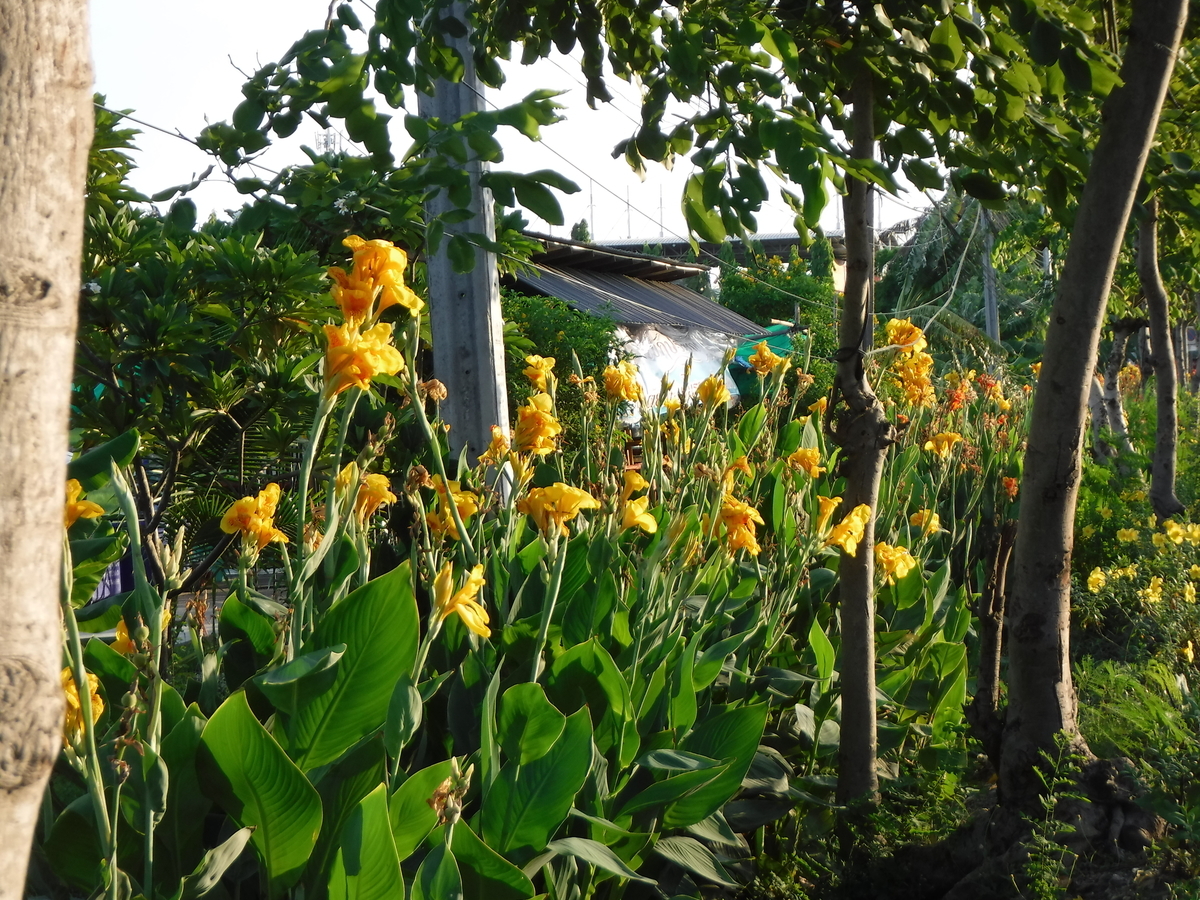 f:id:ryo326:20190702223028j:plain f:id:ryo326:20190702223028j:plain