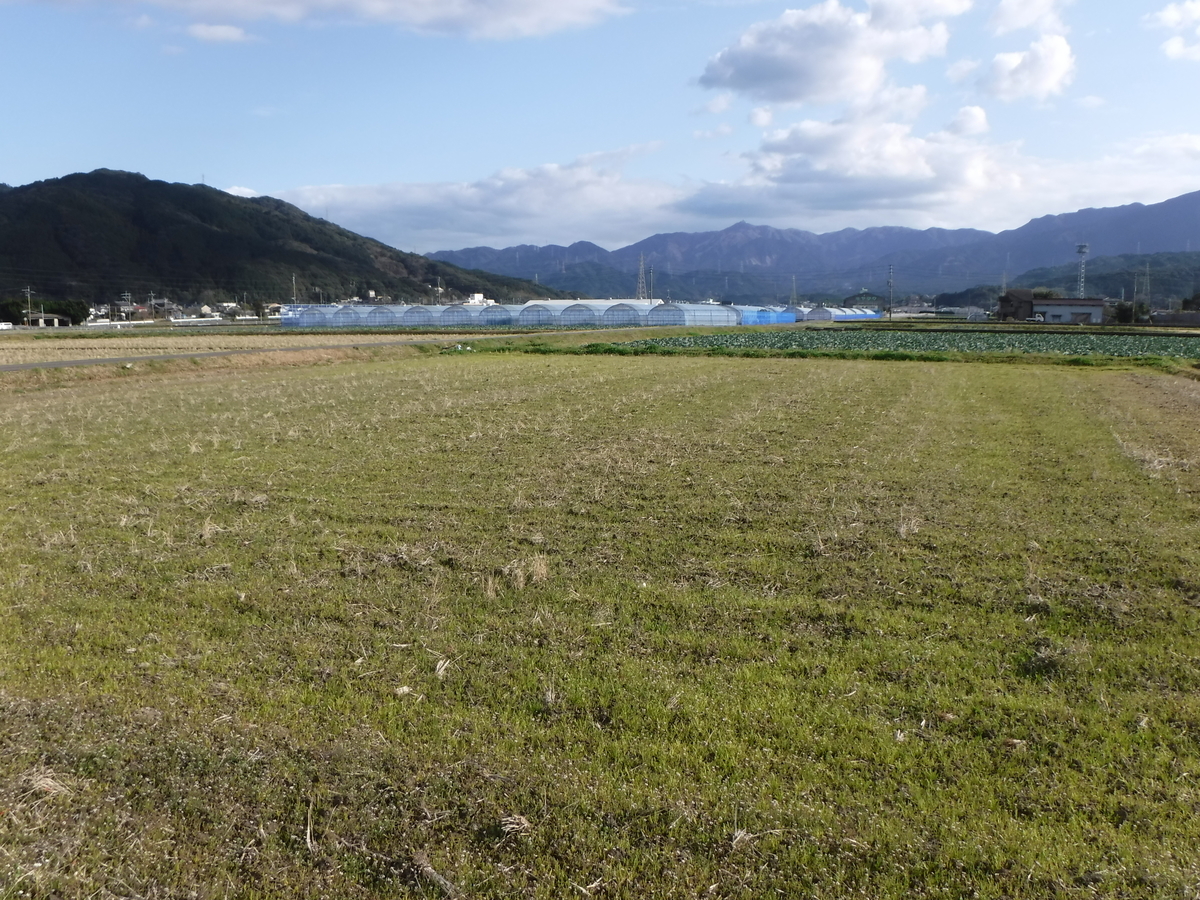 f:id:ryo326:20210305174613j:plain