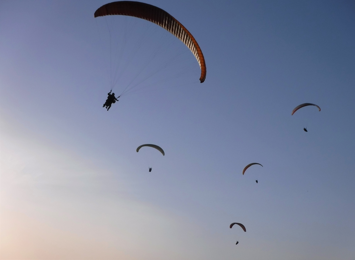 f:id:ryo326:20210508120115j:plain