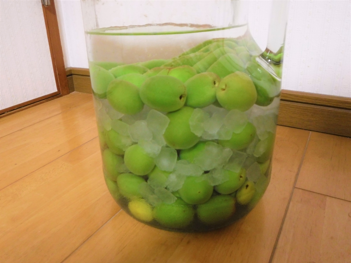 f:id:ryo326:20210516115215j:plain