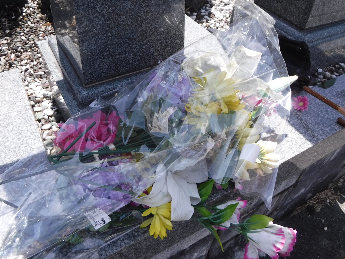 f:id:ryo326:20210516115351j:plain