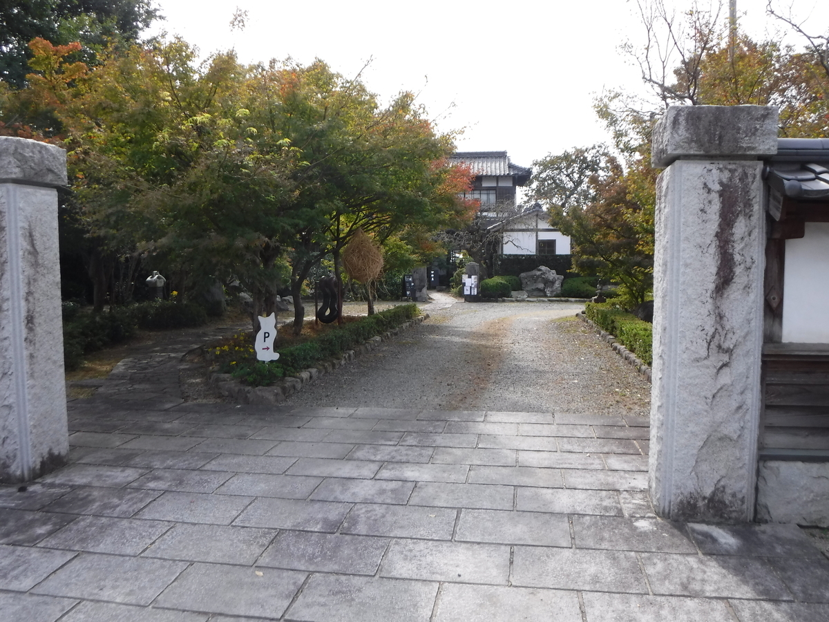 f:id:ryo326:20211107170556j:plain