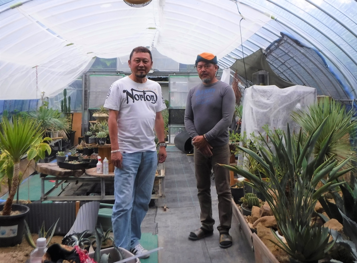 アガベの沼にハマる - ryo326の日記