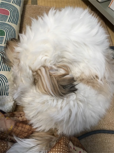 f:id:ryo71724:20170103213714j:image f:id:ryo71724:20170103213714j:image