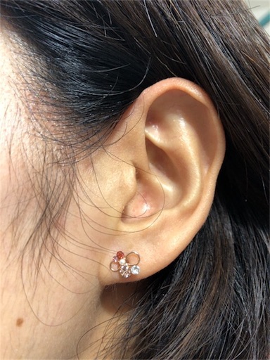 f:id:ryo71724:20181021210710j:image