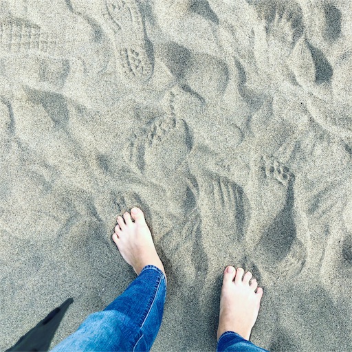 f:id:ryo71724:20181201214717j:image