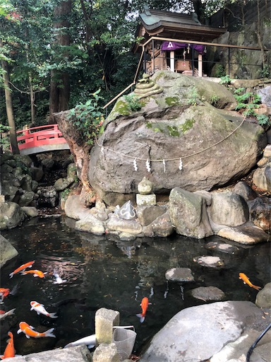 f:id:ryo71724:20181201215614j:image