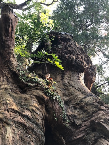 f:id:ryo71724:20181201215657j:image