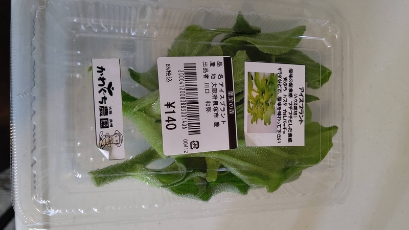 アイスプラントとは 動植物の人気 最新記事を集めました はてな アイスプラントとは 動植物の人気 最新記事を集めました はてな