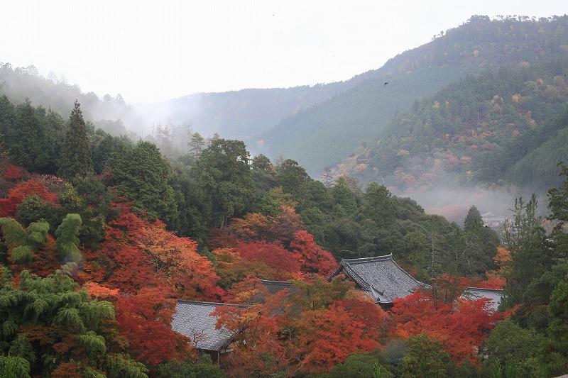 f:id:ryo909:20121111125551j:image f:id:ryo909:20121111125551j:image