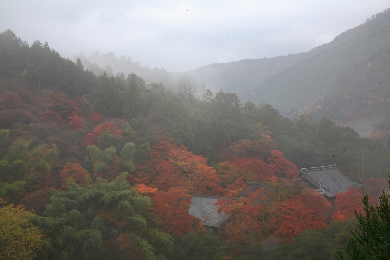 f:id:ryo909:20121112230822j:image f:id:ryo909:20121112230822j:image