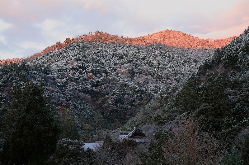 f:id:ryo909:20121211195123j:image f:id:ryo909:20121211195123j:image