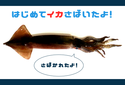 f:id:ryo_009:20180329132335j:plain f:id:ryo_009:20180329132335j:plain