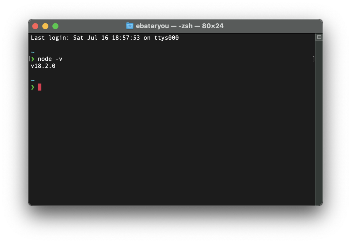 &#x60;node -v&#x60;コマンドの実行画面