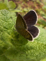 060614_1030.jpg