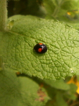 060614_1029.jpg