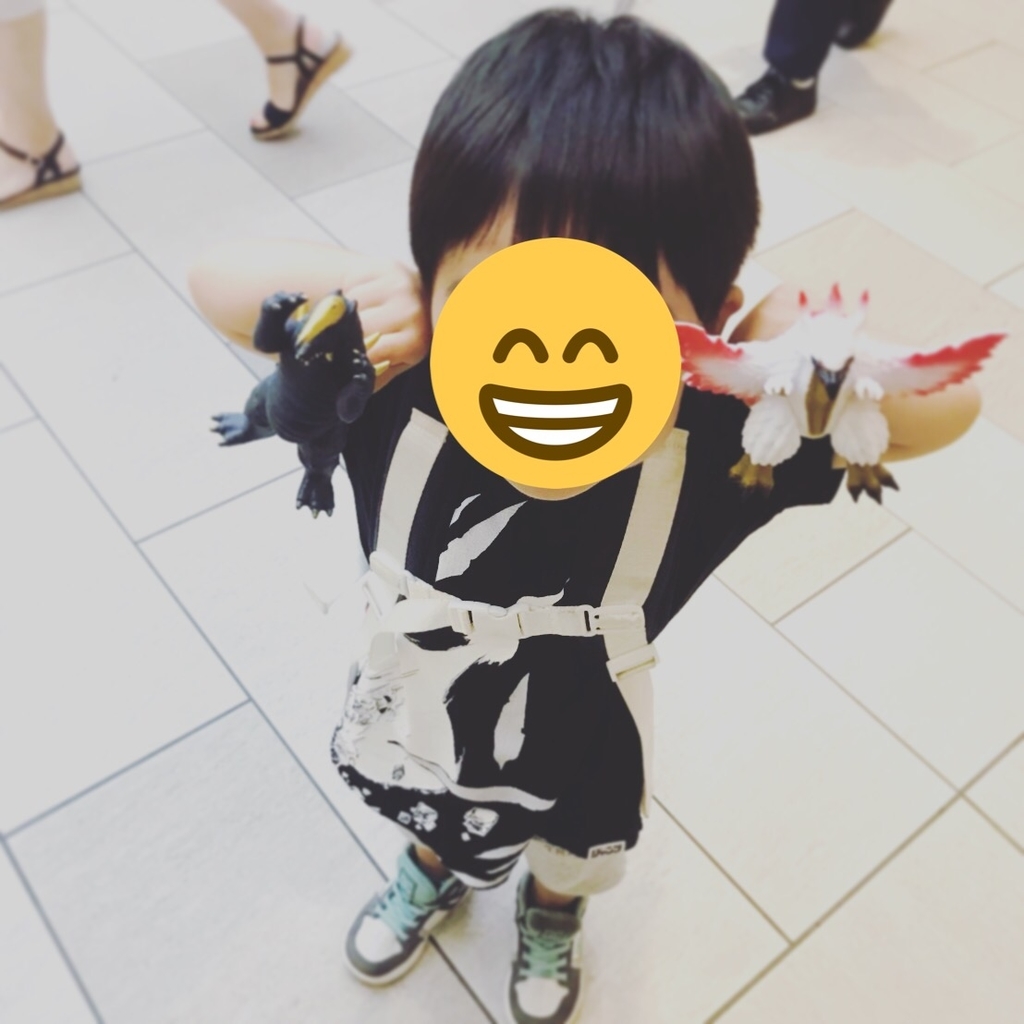 f:id:ryo_nf3000:20190125162637j:plain f:id:ryo_nf3000:20190125162637j:plain