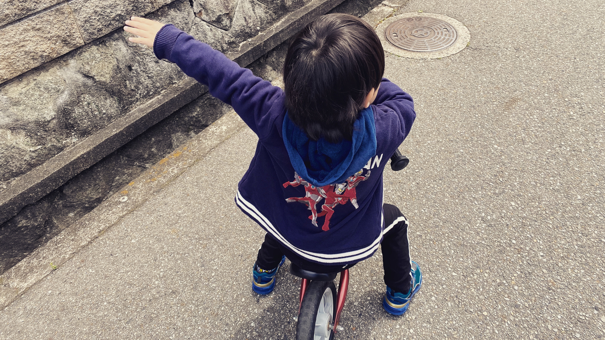 f:id:ryo_nf3000:20200422144937j:plain