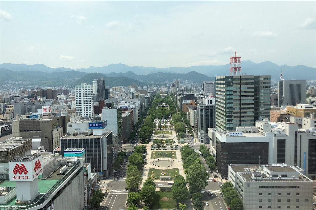 f:id:ryo_suga:20180607231117j:image