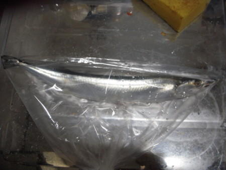 f:id:ryo_takanashi:20120930062046j:image