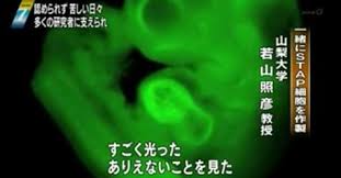 f:id:ryobu-0123:20180120002630j:plain f:id:ryobu-0123:20180120002630j:plain