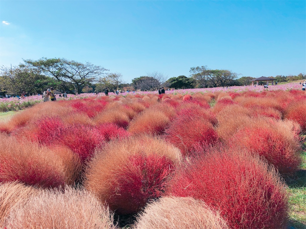 f:id:ryochiman:20191027234349j:image f:id:ryochiman:20191027234349j:image