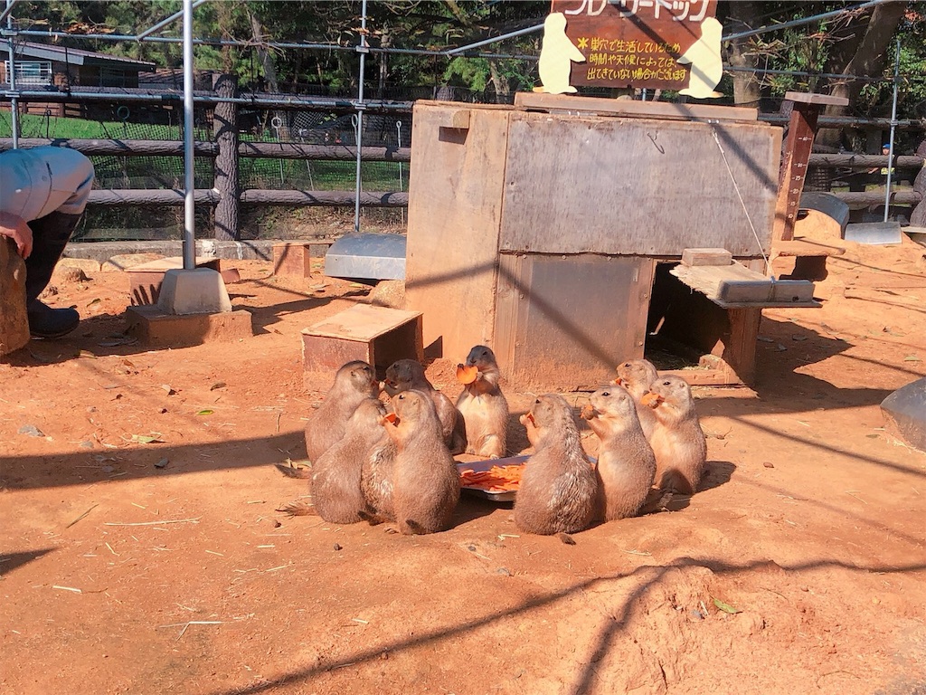 f:id:ryochiman:20191027235054j:image f:id:ryochiman:20191027235054j:image