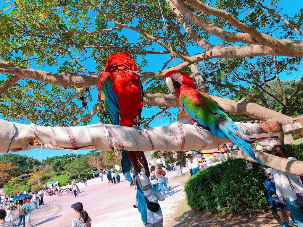 f:id:ryochiman:20191027235101j:image f:id:ryochiman:20191027235101j:image