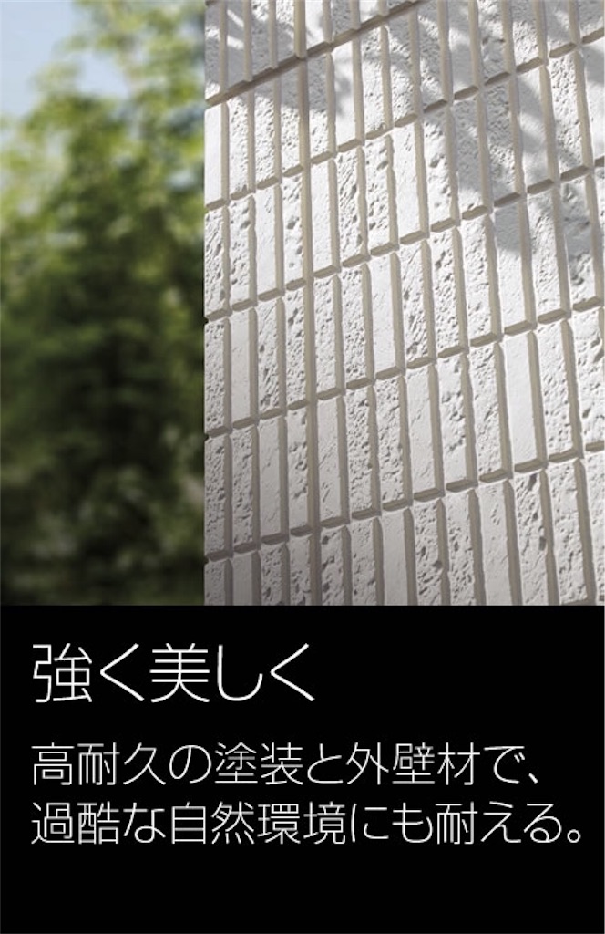 f:id:ryochinpapa:20170603104809j:image