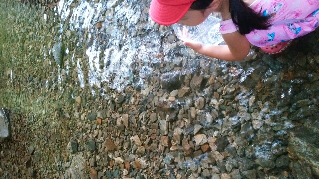 f:id:ryoconosima:20200824162145j:image f:id:ryoconosima:20200824162145j:image