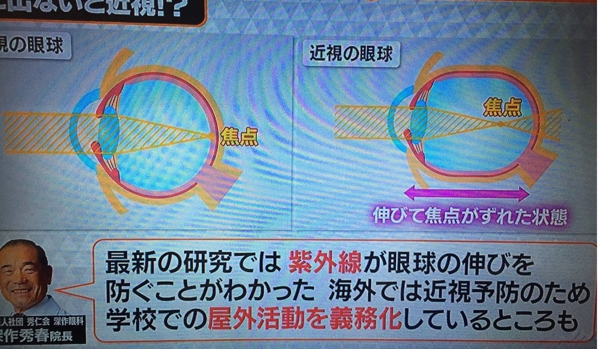 f:id:ryocuu:20200112232934j:plain f:id:ryocuu:20200112232934j:plain