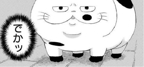 f:id:ryocuu:20200120044214j:plain f:id:ryocuu:20200120044214j:plain
