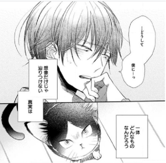 f:id:ryocuu:20200210145812p:plain f:id:ryocuu:20200210145812p:plain
