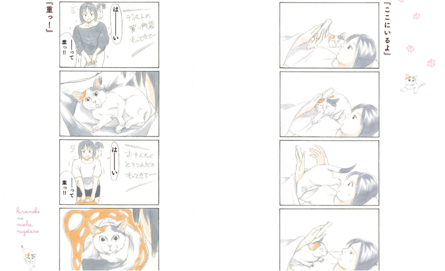f:id:ryocuu:20200210183310p:plain f:id:ryocuu:20200210183310p:plain