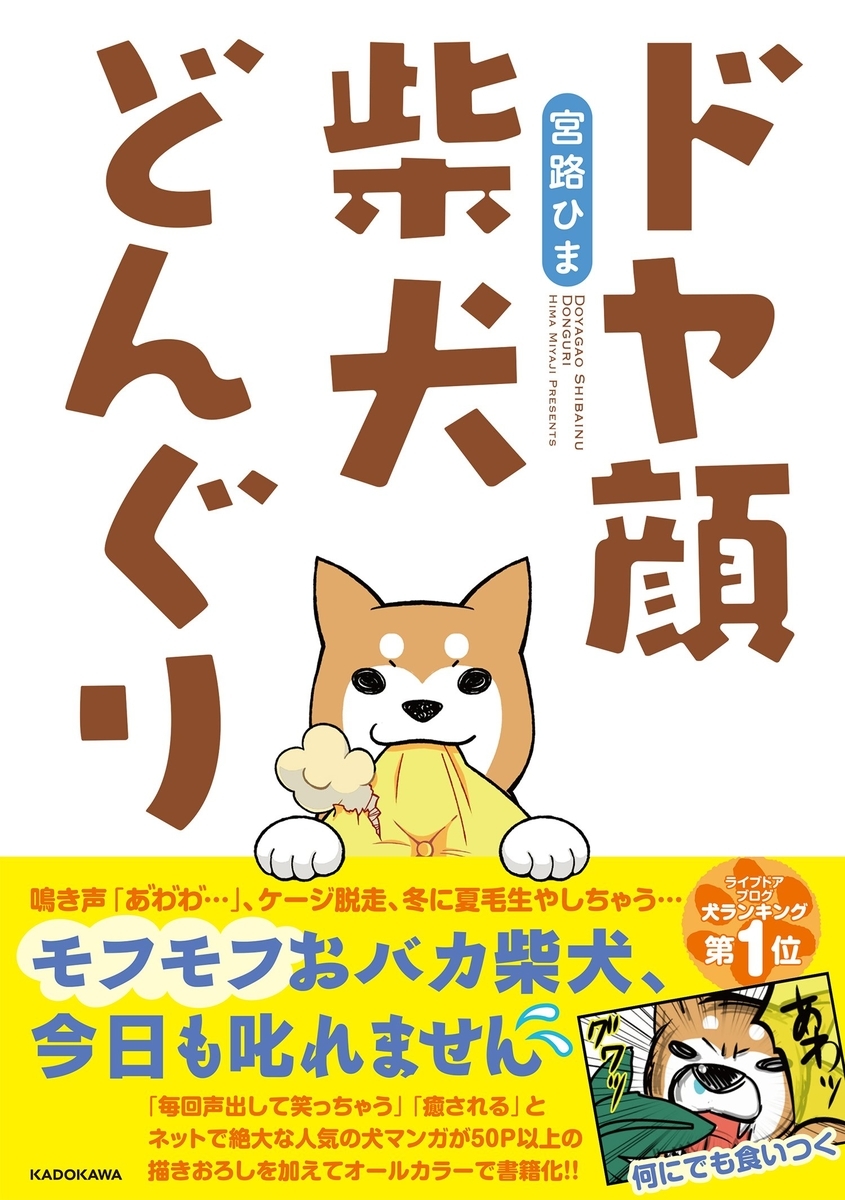 f:id:ryocuu:20200211153136j:plain f:id:ryocuu:20200211153136j:plain
