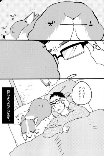 f:id:ryocuu:20200211174627p:plain f:id:ryocuu:20200211174627p:plain
