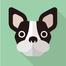 f:id:ryocuu:20200211220024p:plain f:id:ryocuu:20200211220024p:plain