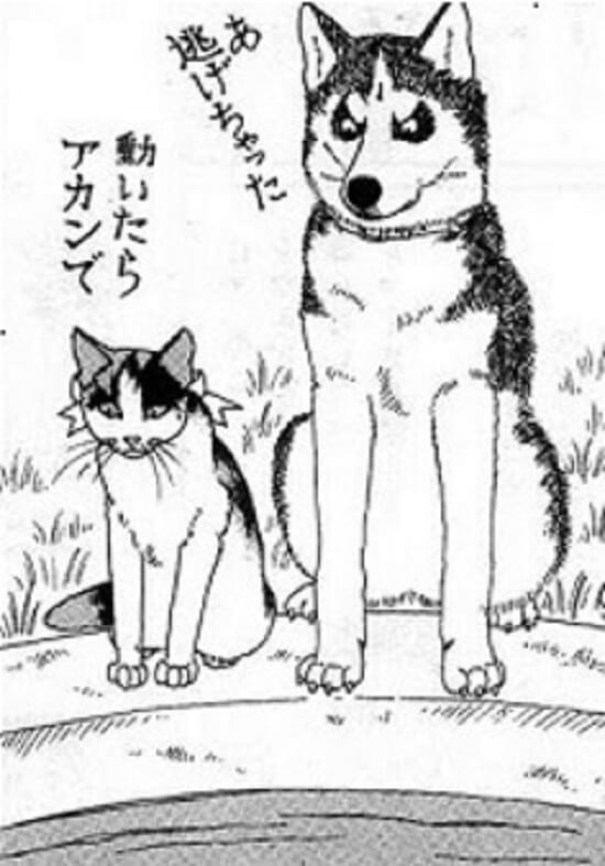 f:id:ryocuu:20200423052404j:plain f:id:ryocuu:20200423052404j:plain