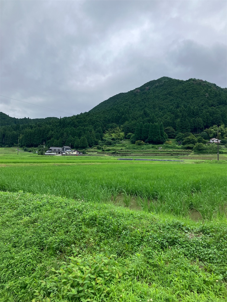 f:id:ryodate2022:20260707174604j:image