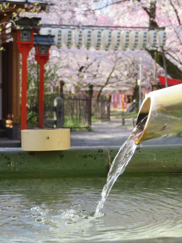 f:id:ryoen001:20180331055502j:image f:id:ryoen001:20180331055502j:image