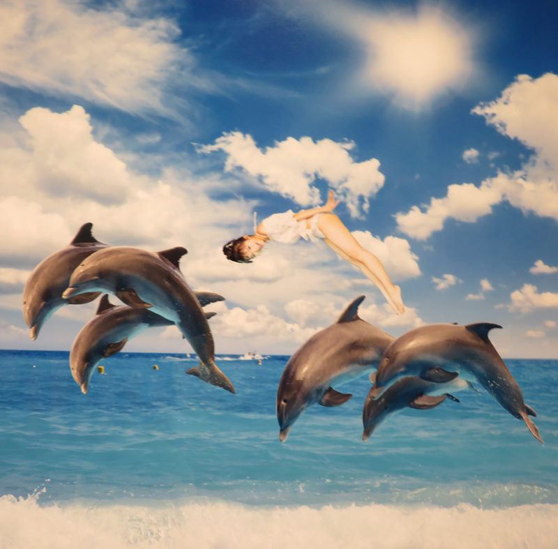 f:id:ryoen001:20180614061614j:image f:id:ryoen001:20180614061614j:image