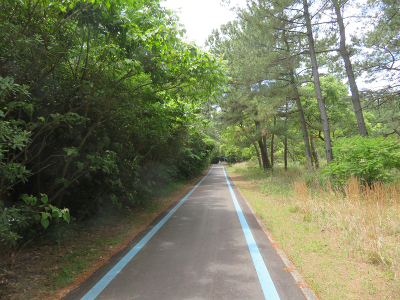 f:id:ryoen001:20190510065441j:plain