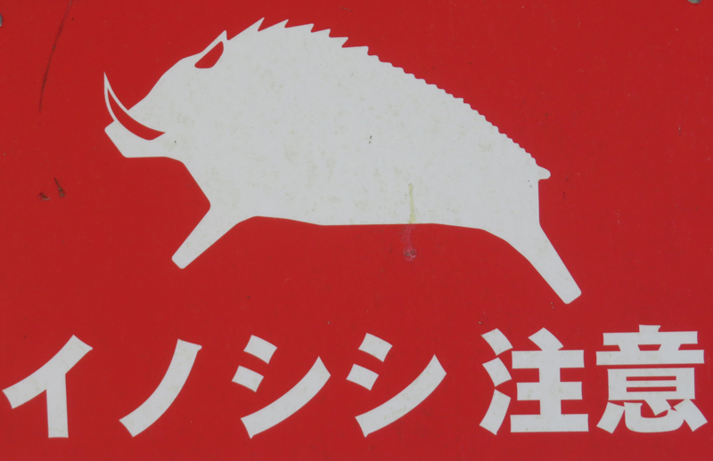 f:id:ryoen001:20190514062054j:plain