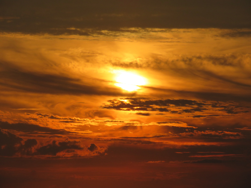 f:id:ryoen001:20190729060228j:plain f:id:ryoen001:20190729060228j:plain