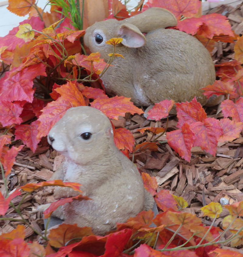 f:id:ryoen001:20190914061203j:plain