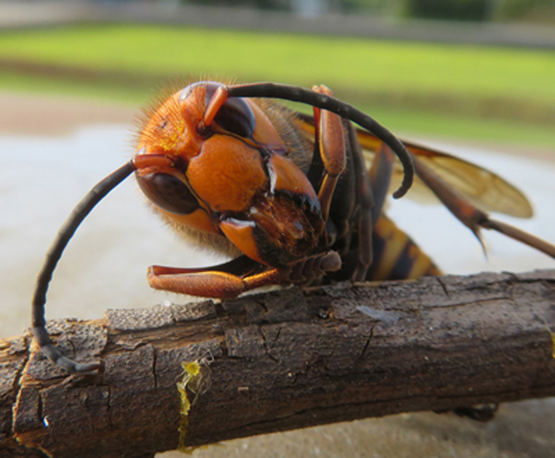 f:id:ryoen001:20201118052428j:plain