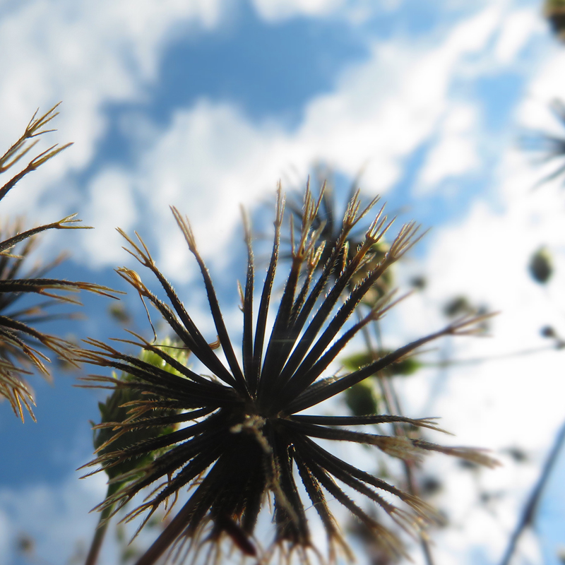 f:id:ryoen001:20201120065312j:plain