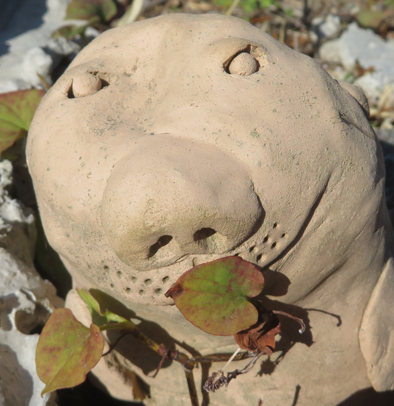 f:id:ryoen001:20201203054713j:plain